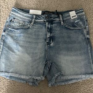 Judy Blue Blue Jean Shorts with Frayed Hem